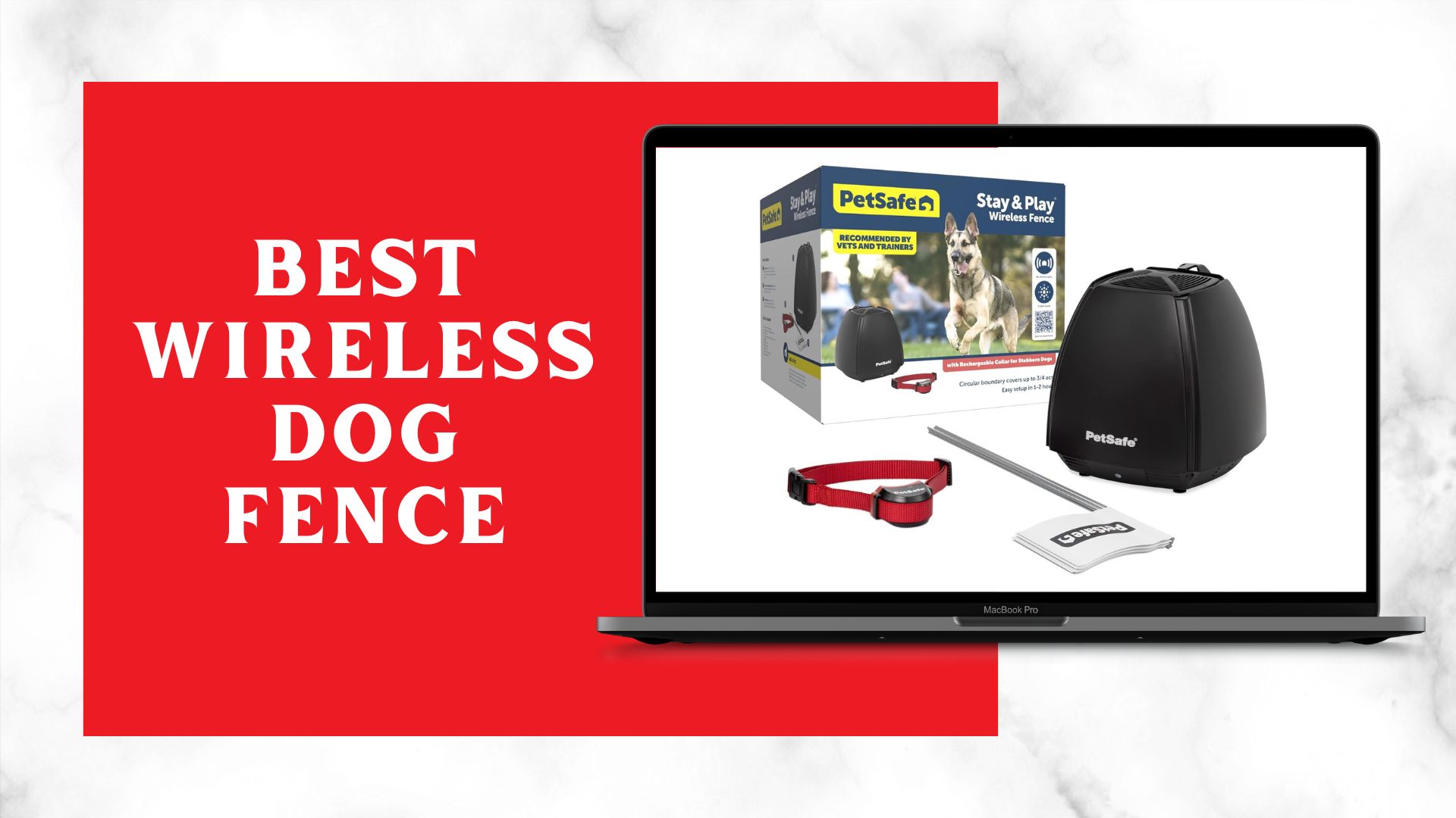 Best Wireless Dog Fence