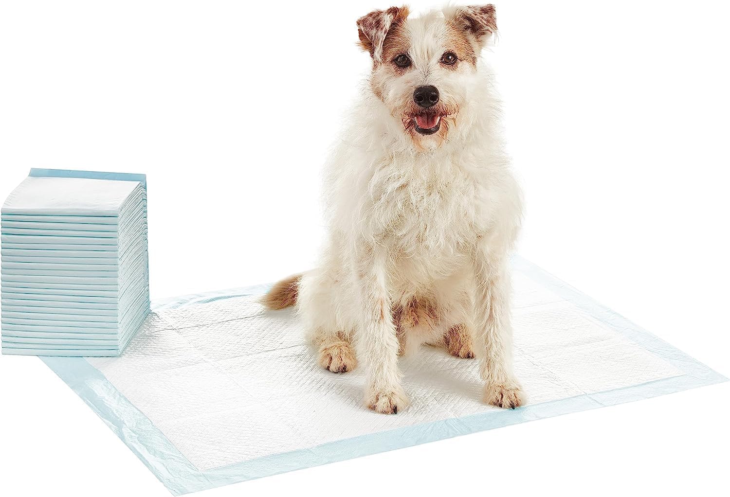 Dog Pee Pads with Leak-Proof Design 