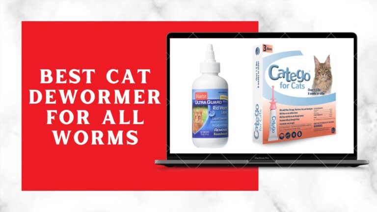 best cat dewormer for all worms