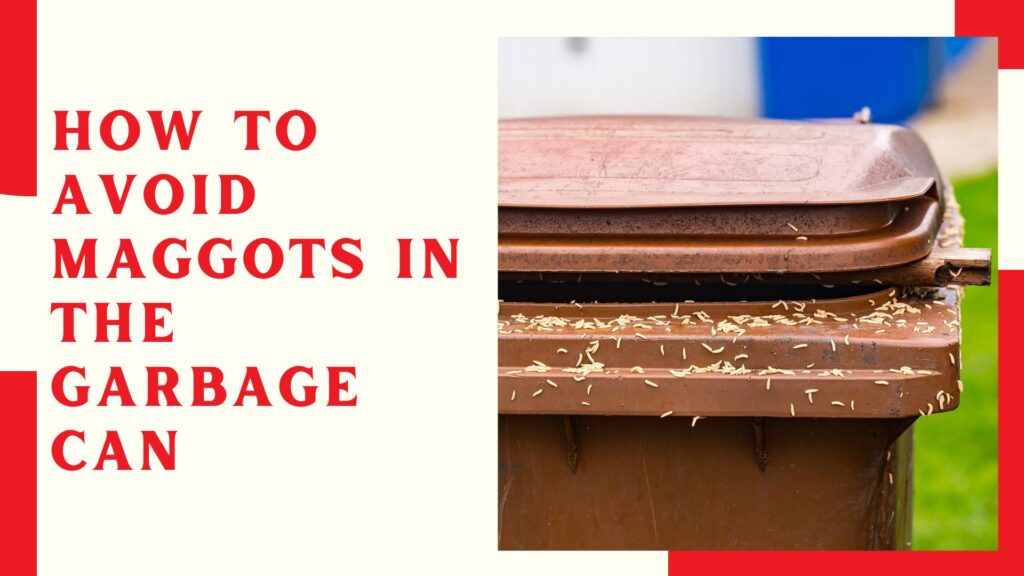 how to avoid maggots in the garbage can