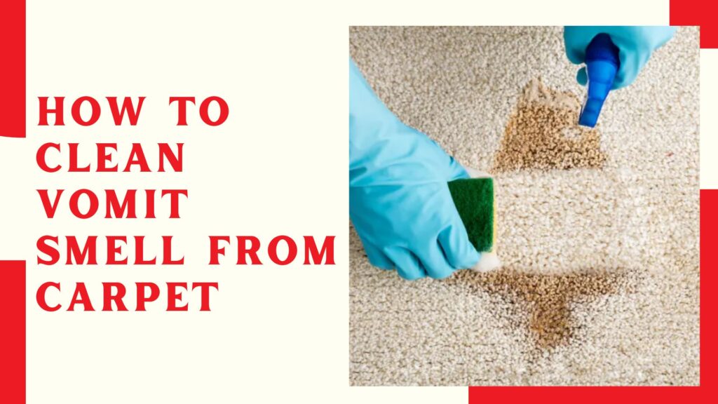 How To Clean Vomit Smell From Carpet
