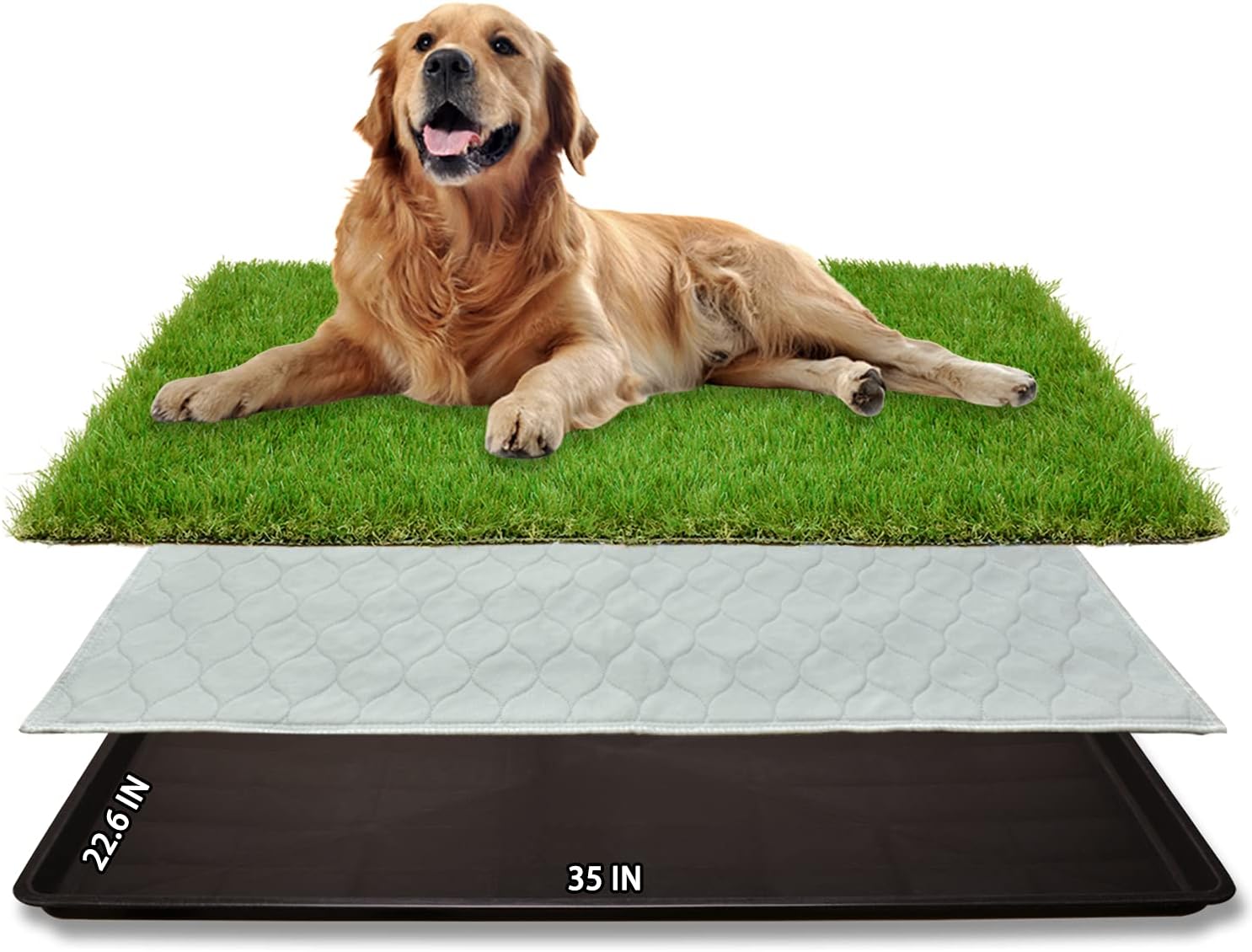 PICK FOR LIFE Dog Grass Large Patch Potty