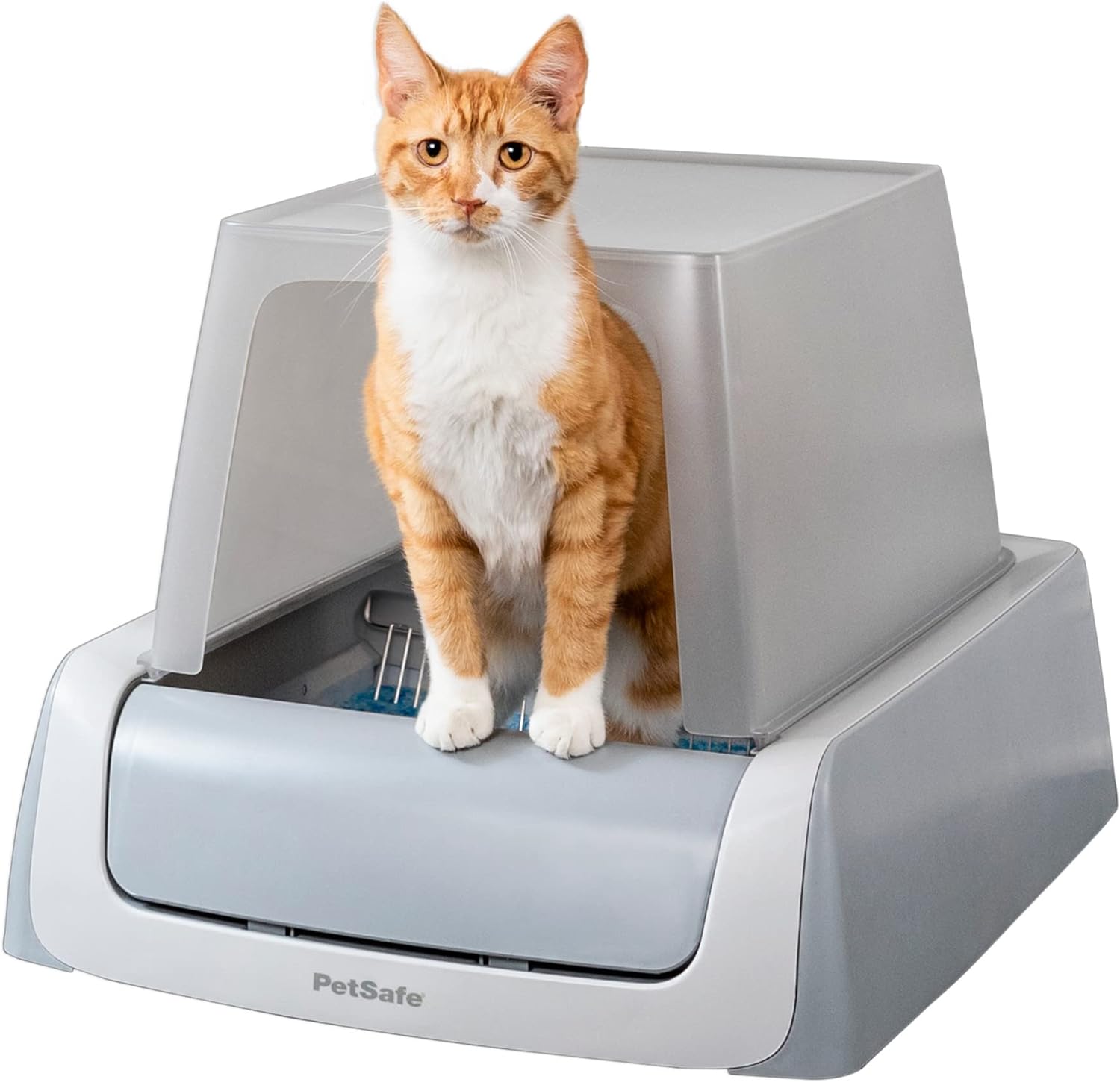 PetSafe Self-Cleaning Cat Litter Box