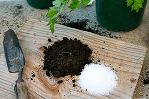Epsom Salt for Healthy Growth