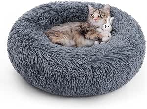 Cat Bed