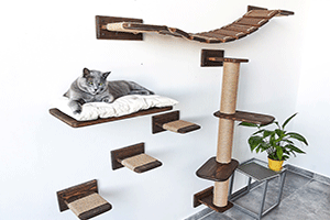 Cat Trees and Shelves