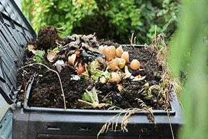 Deodorizing Compost Piles
