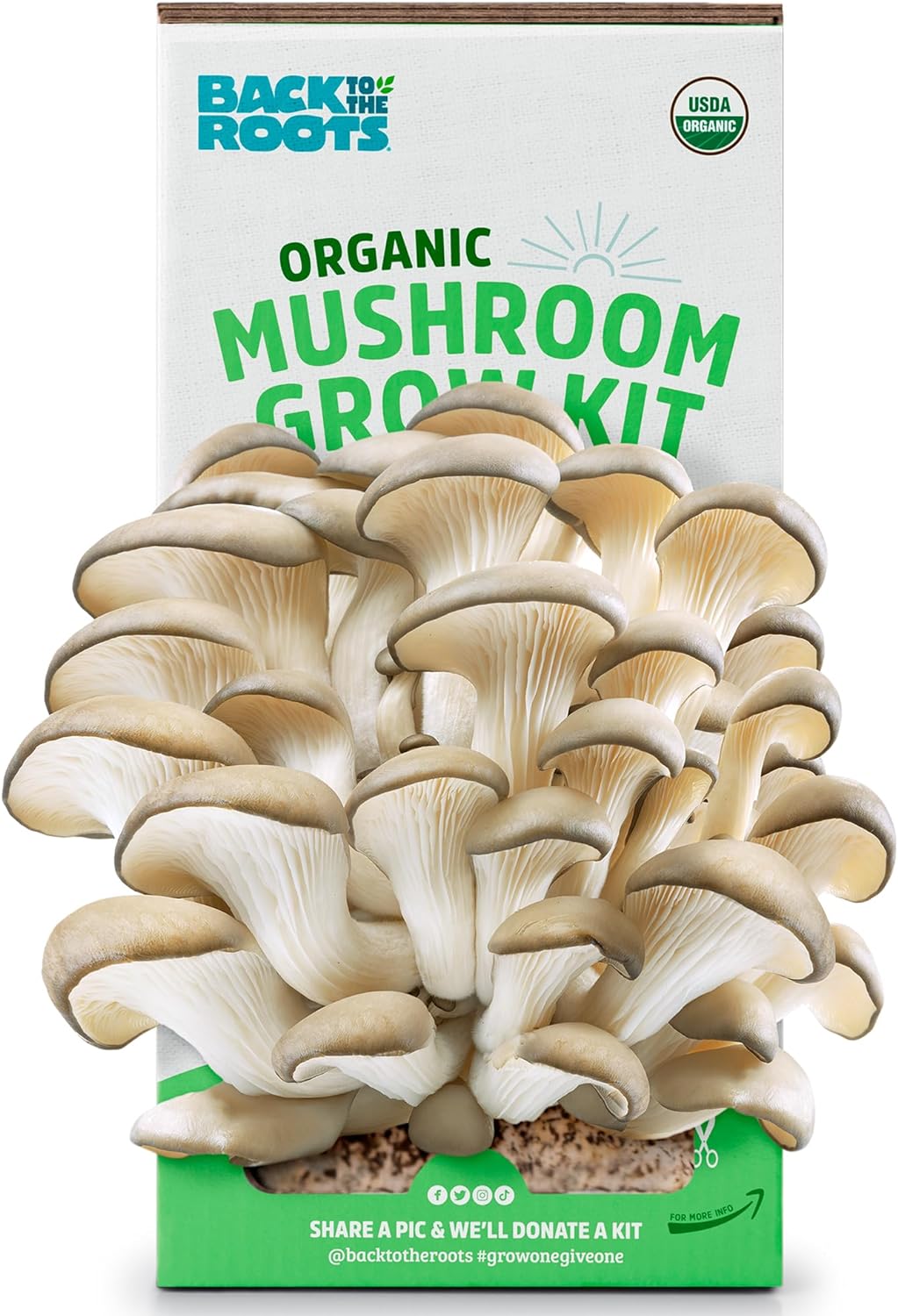 Mushroom Grow Kit