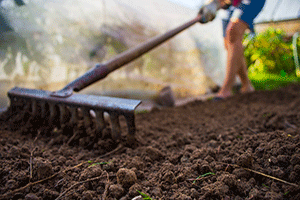 Soil Preparation
