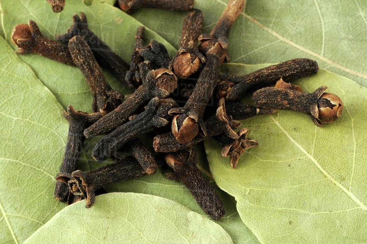 Bay Leaves and Cloves