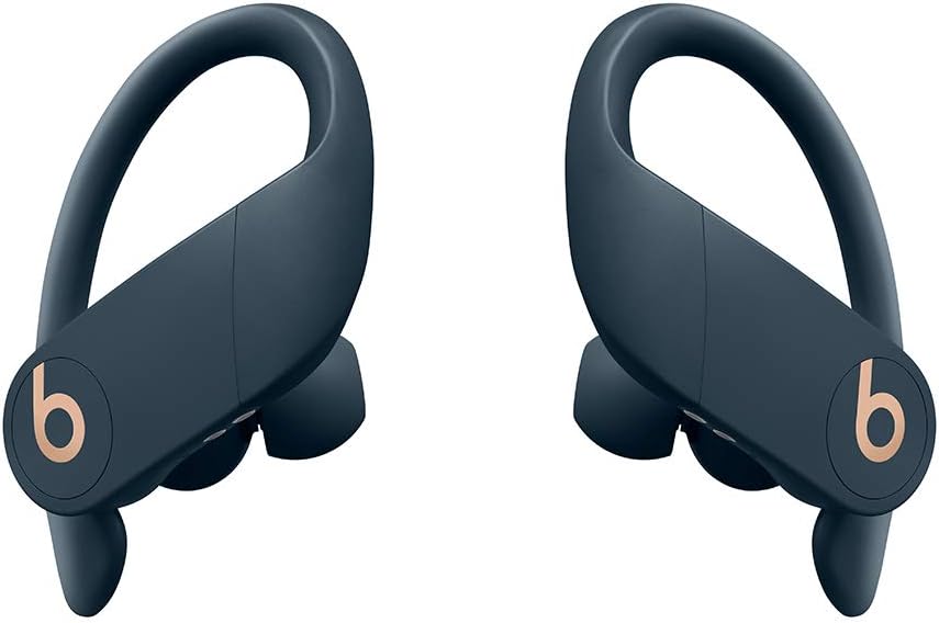 Beats Powerbeats Pro Wireless Earbuds