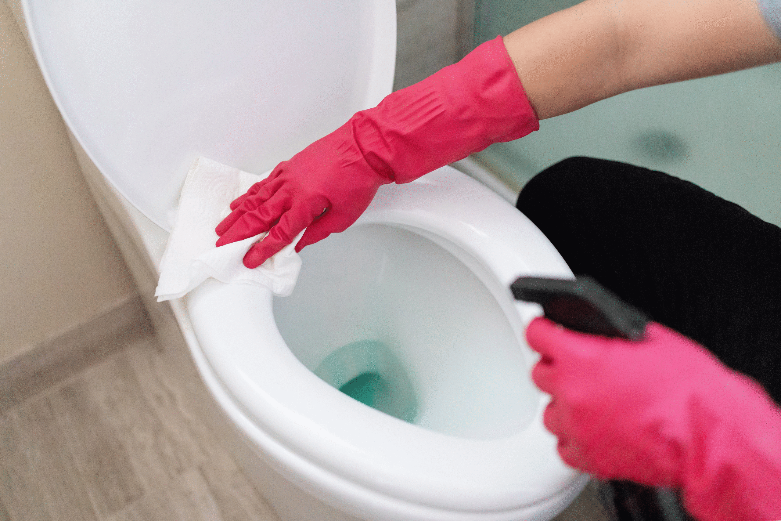 Cleaning Toilet Bowls: