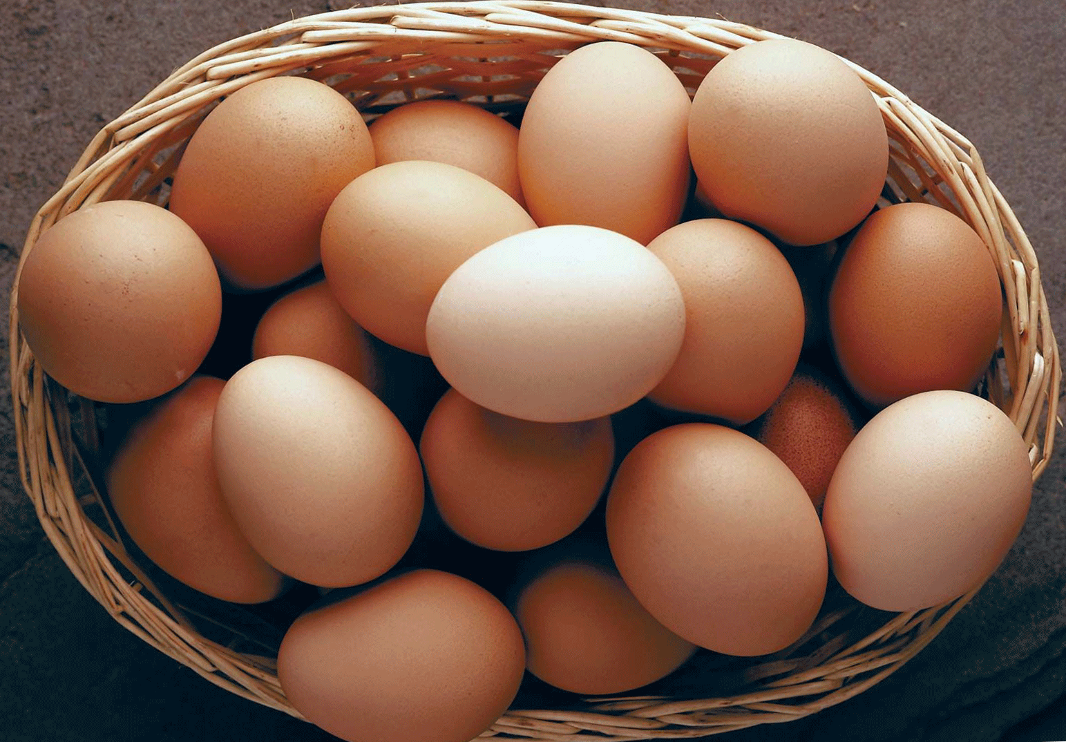 Eggs