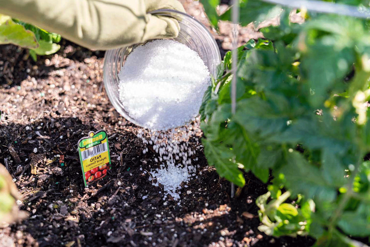 Epsom Salt Fertilizer
