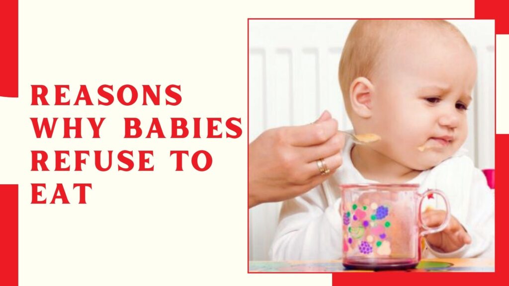 Reasons why Babies Refuse to Eat