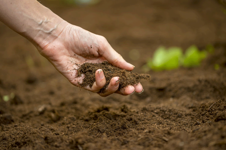 Preparing the Soil