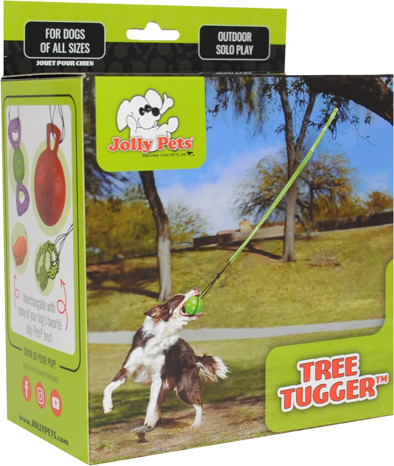 Tree Tugger For Dog