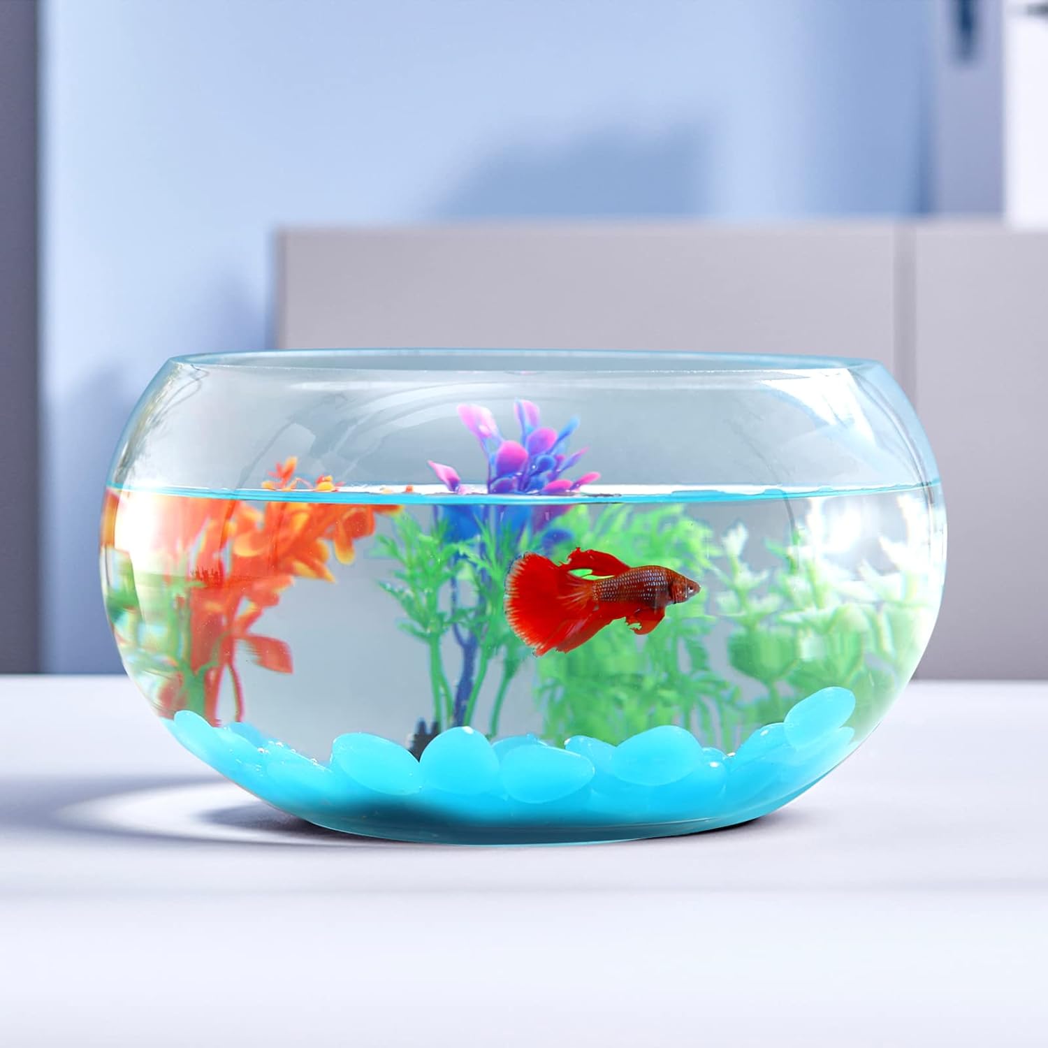 Glass Fish Bowl with Decor