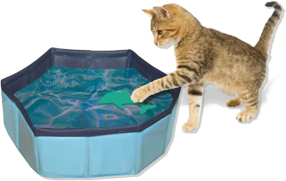 Swimming Pool Cat Toy