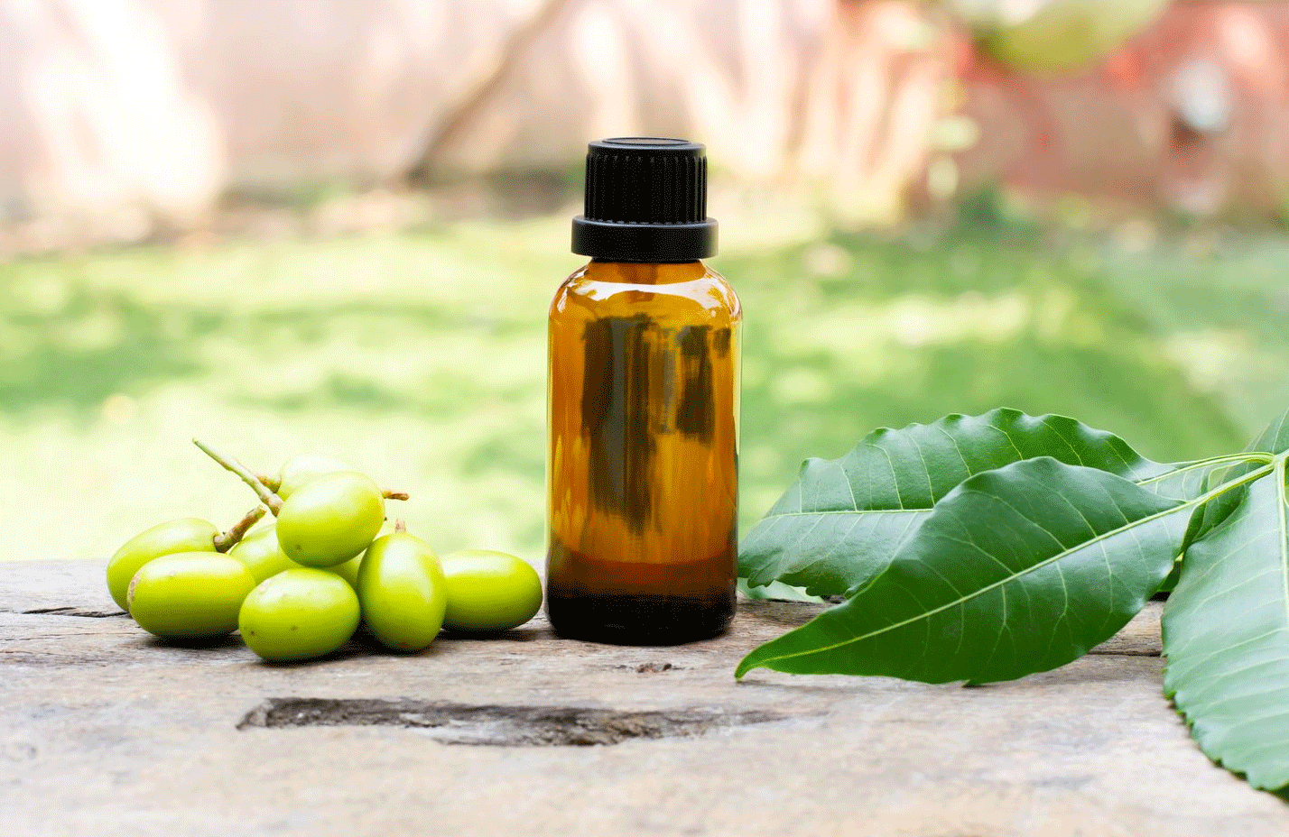 neem oil
