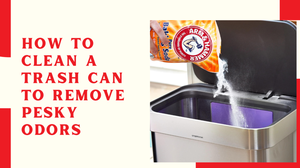 How to Clean a Trash Can to Remove Pesky Odors