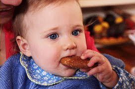 Teething Biscuits