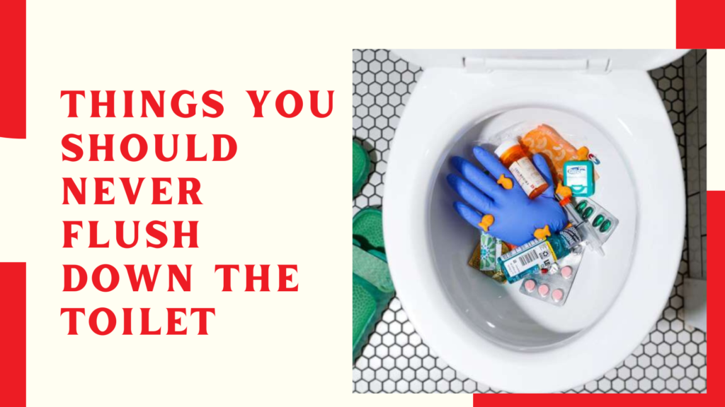 Things You Should Never Flush Down the Toilet