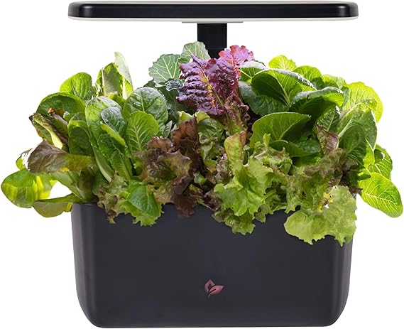 AeroGarden Harvest  Garden Hydroponic System with LED Grow Light