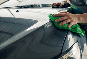 Apply Wax – a Bug Deterrent