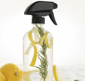 Citrus Oil Spray