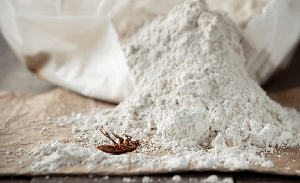 Diatomaceous-earth