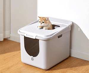 Employ a Hooded Litter Box