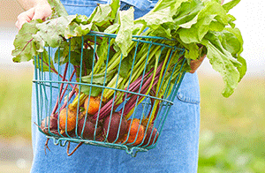 Harvesting