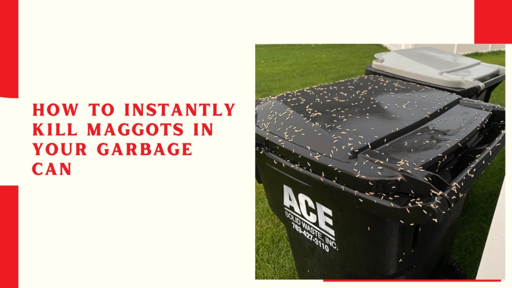 How To Instantly Kill Maggots in Your Garbage Can