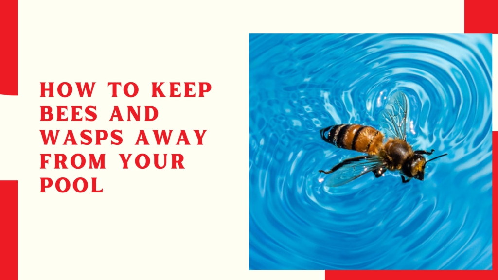 How to Keep Bees and Wasps Away from Your Pool