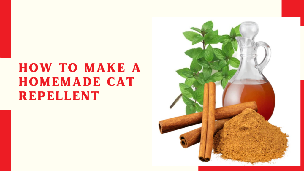 How to Make a Homemade Cat Repellent