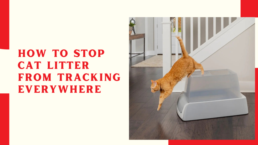 How to Stop Cat Litter from Tracking Everywhere