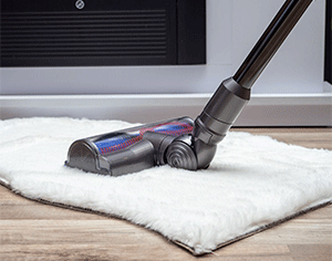 How to Vacuum Correctly to Get Rid of Carpet Beetles