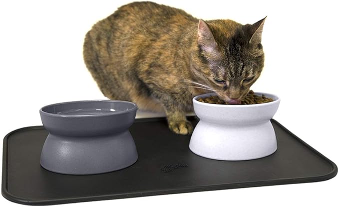 Kitty City Raised Cat Food Bowl