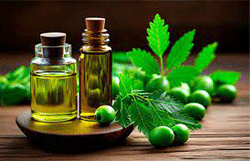 Neem Oil: 