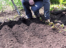 Preparing the Soil