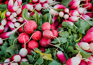  Radishes