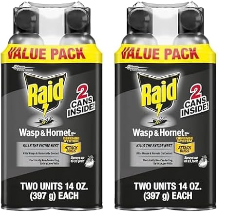 Raid Wasp & Hornet Killer Spray