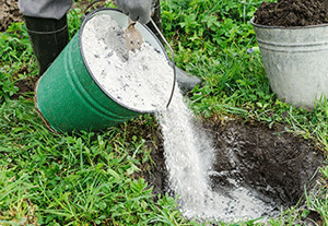 Using Wood Ash in the Garden