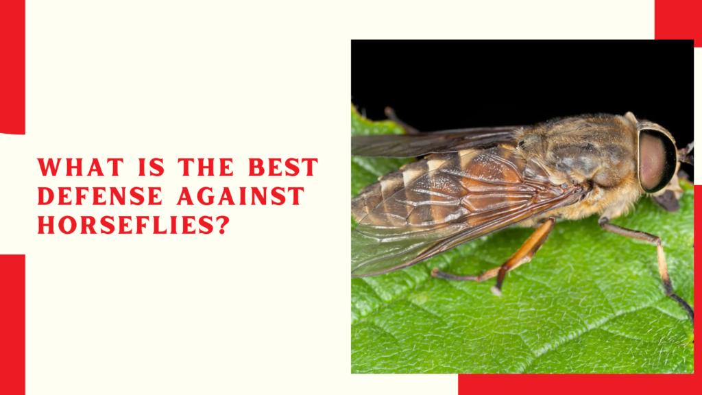 What is the best defense against horseflies?