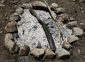 What's in Wood Ash