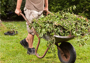 Clean Up Garden Debris