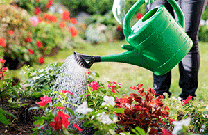 watering techniques for garden