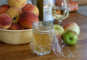 Apple Cider Vinegar Trap