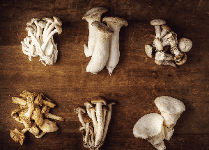 Choosing the Right Mushroom